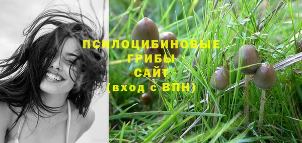 твердый Куйбышев