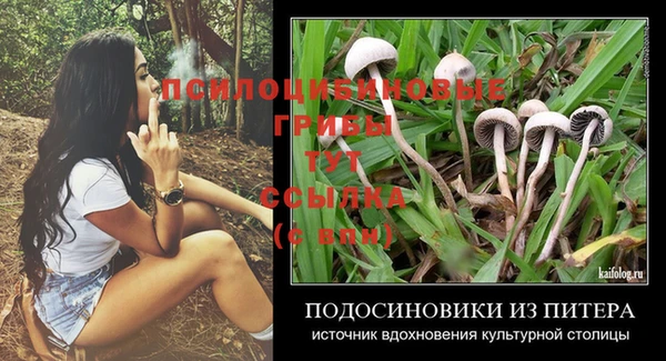 mdma Кукмор