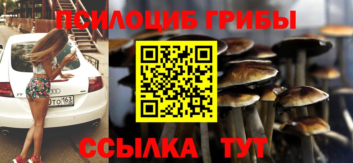 Псилоцибиновые грибы мухоморы Нижний Тагил