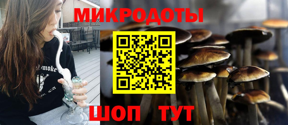 Псилоцибиновые грибы Cubensis  Вход с VPN  Нижний Тагил 